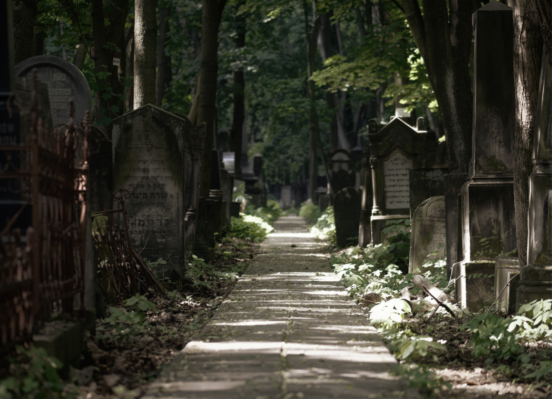 Chapa_01_e_eleita_para_nova_diretoria_do_SINTPq