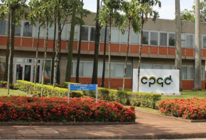 CPQD: Negociações sobre o aditivo de teletrabalho continuam no dia 02/02