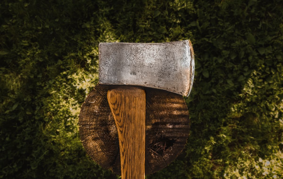 Comdema sob ataque: assine o abaixo-assinado em repúdio ao cancelamento das eleições por Dário