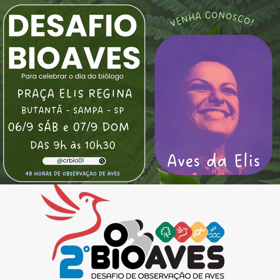 whatsapp_image_2025-09-04_at_09-53-26