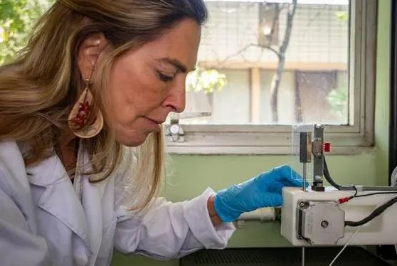 SINTPq acompanha mudanças no VA e VR e cobra que redução de taxas se traduza em comida mais acessível ao trabalhador